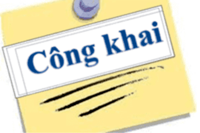 Thông tư 61/2017/TT-BTC ngày 15 tháng 6 năm 2017  thông tư hướng dẫn về công khai ngân sách đối với đơn vị dự toán ngân sách, tổ chức được ngân sách nhà nước hỗ trợ